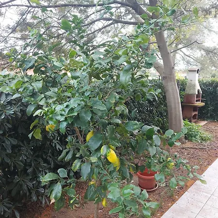 La Casina Di Dudy 아파트 Stagno