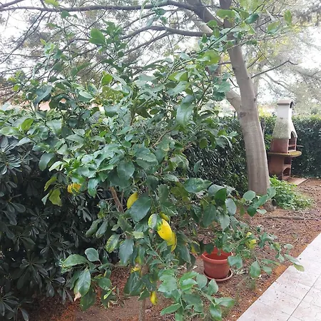 La Casina Di Dudy Apartmán Stagno