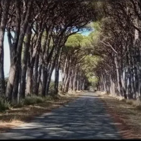 La Casina Di Dudy